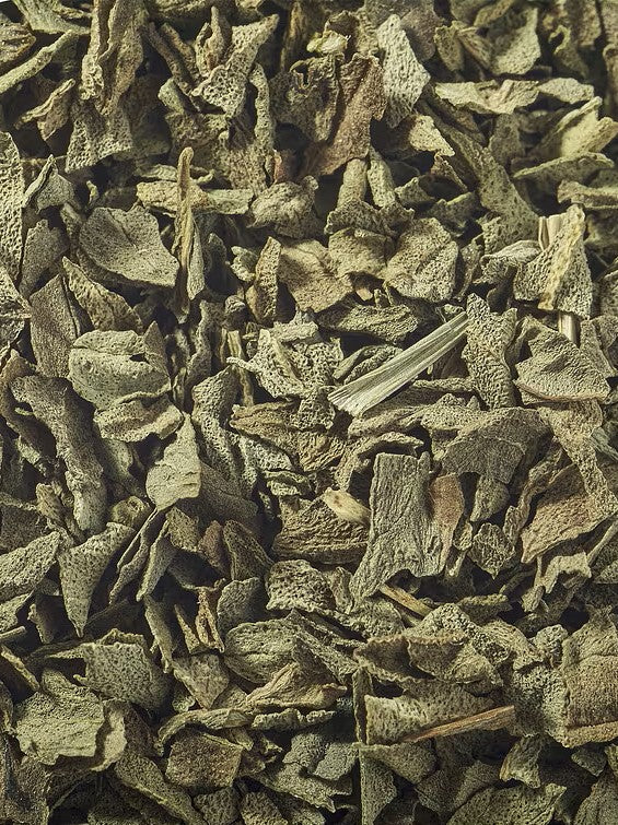 Eucalyptus Leaf - 1 oz.