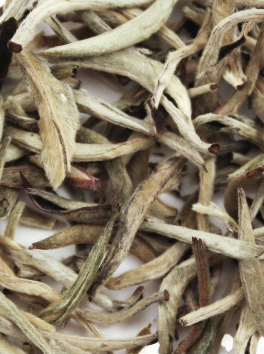 White Tea - 1 oz.