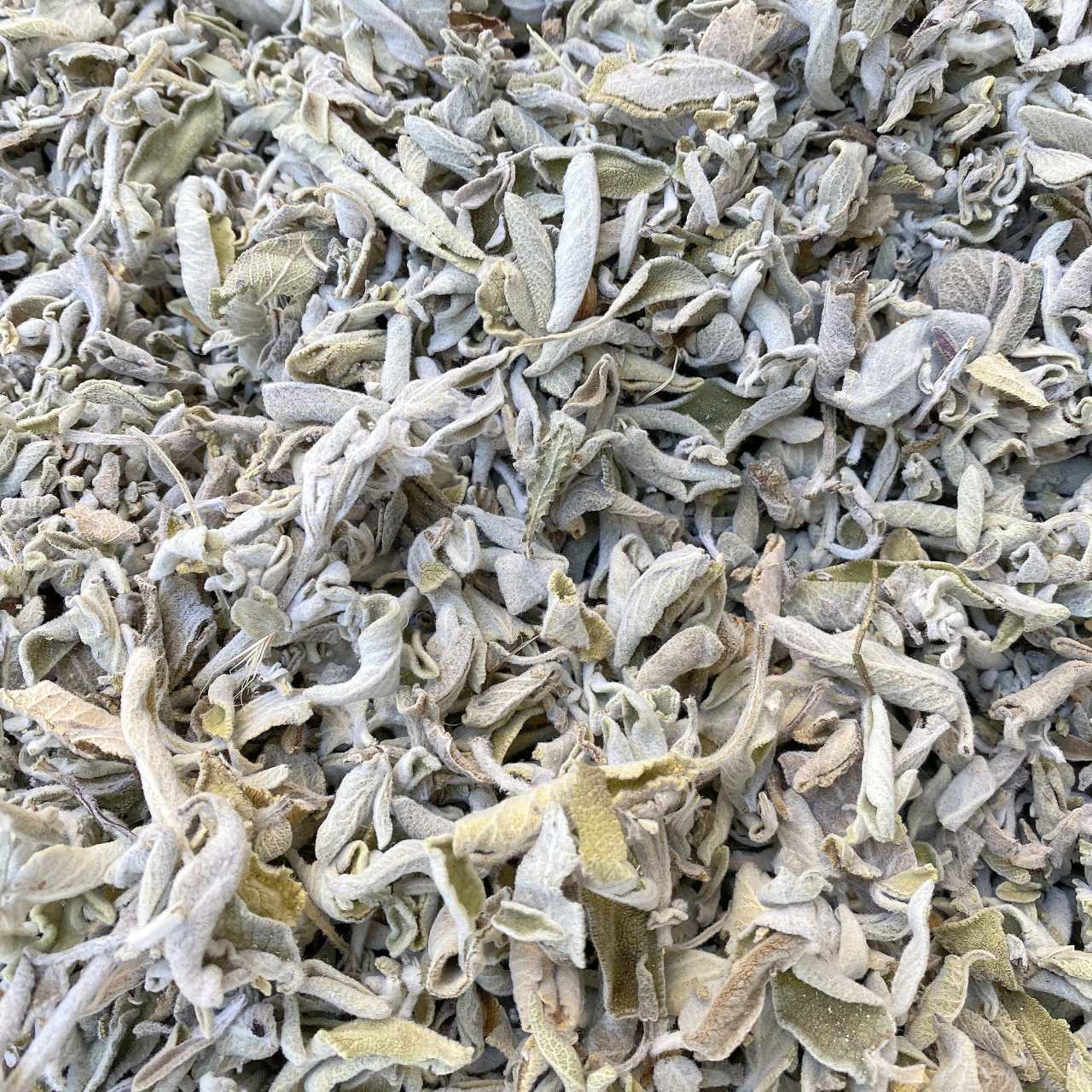 Sage Leaf - 1 oz.