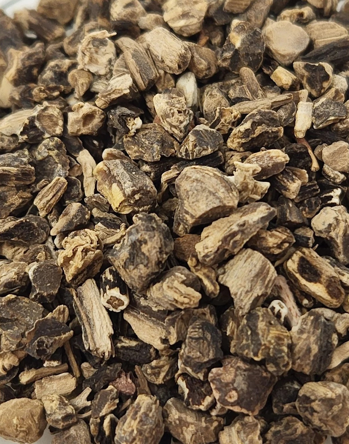 Black Cohosh - 1 oz.