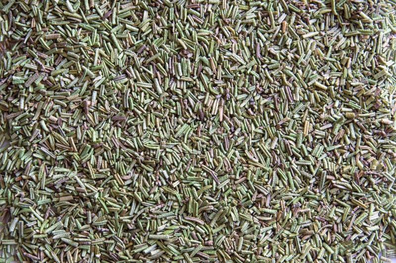 Rosemary - 1 oz.