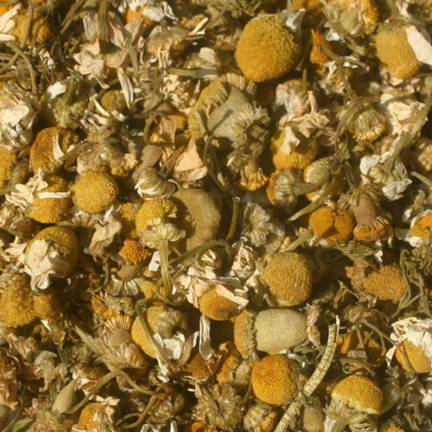 Chamomile Flowers - 1 oz.