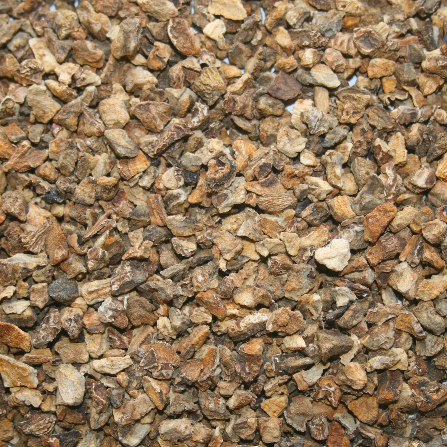 Devil's Claw - 1 oz.