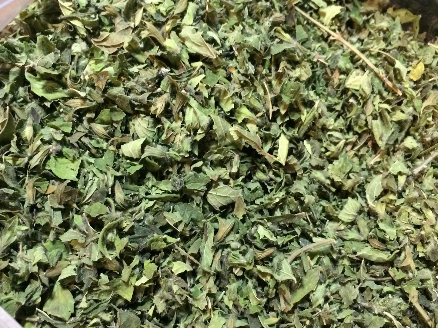 Lemon Balm - 1 oz.
