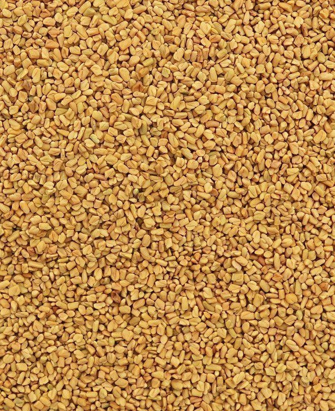 Fenugreek Seeds - 1 oz.