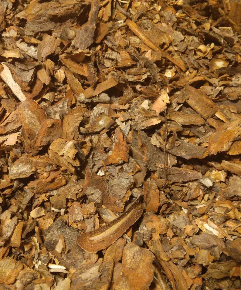 Sassafras Bark- 1 oz.