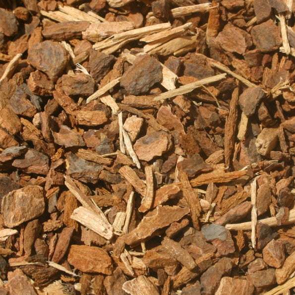 Wild Cherry Bark- 1 oz.