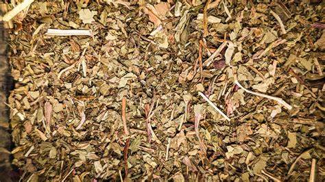 Wild Lettuce- 1 oz.