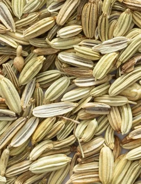 Fennel Seeds - 1 oz.