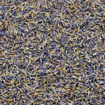 Lavender - 1 oz.