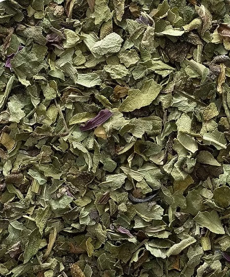 Echinacea - 1 oz.