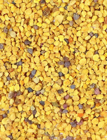 Bee Pollen - 1 oz.
