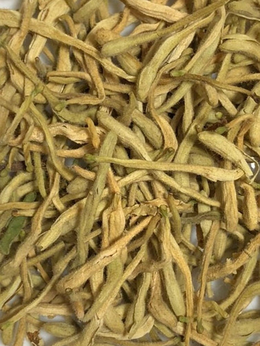 Honeysuckle - 1 oz.