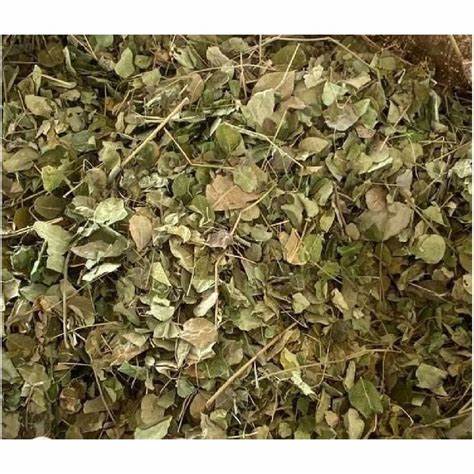 Moringa Leaf- 1 oz.