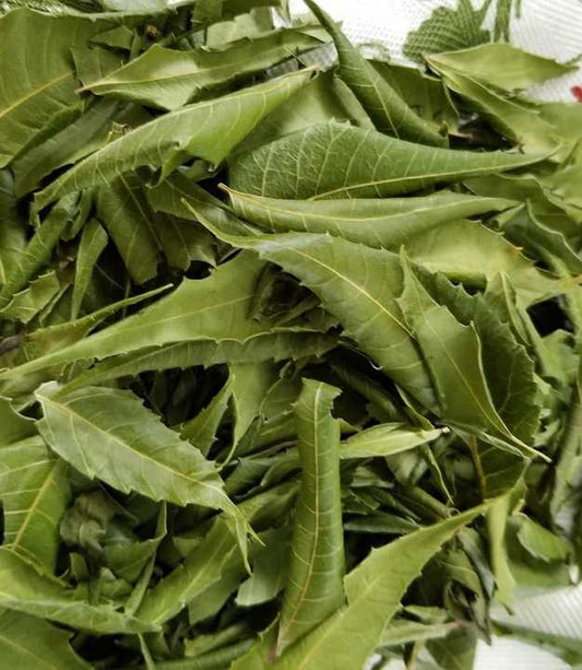 Neem Leaf- 1 oz.