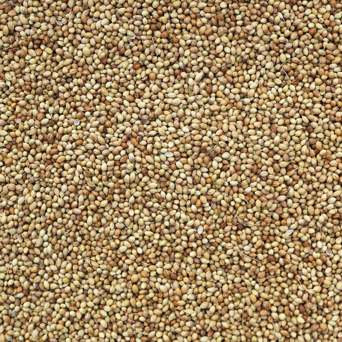 Coriander - 1 oz.