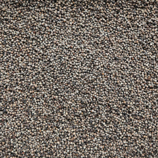Chaste Berry (Vitex Berry) - 1 oz.