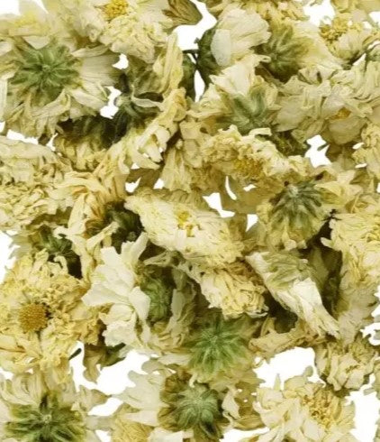 Chrysanthemum Flowers - 1 oz.