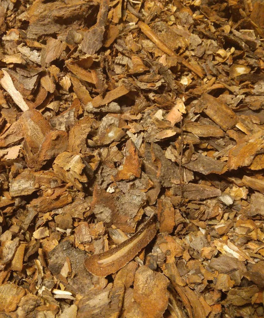 Sassafras Bark- 1 oz.