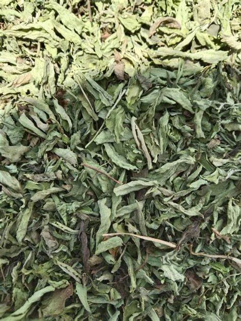 Stevia- 1 oz.