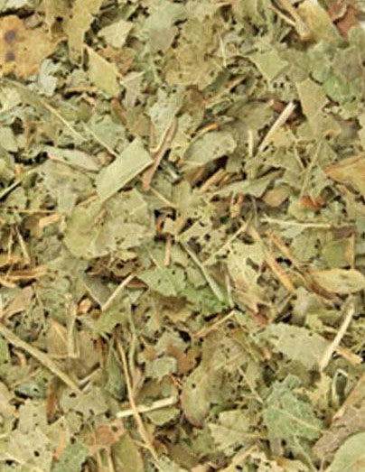 Bilberry - 1 oz.