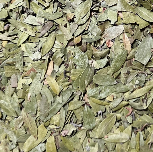 Uva-Ursi Leaf- 1 oz.